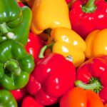 Iranian Export Color Bell Peppers
