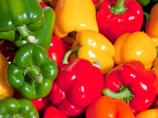 Iranian Export Color Bell Peppers