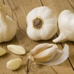 Garlic