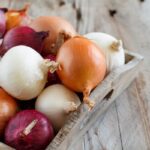 Iranian Export Onion