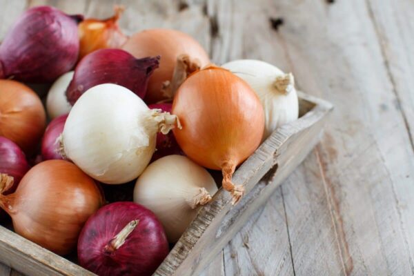 Iranian Export Onion